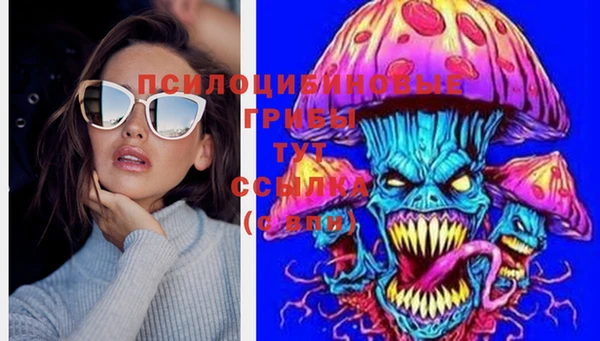дурь Киреевск
