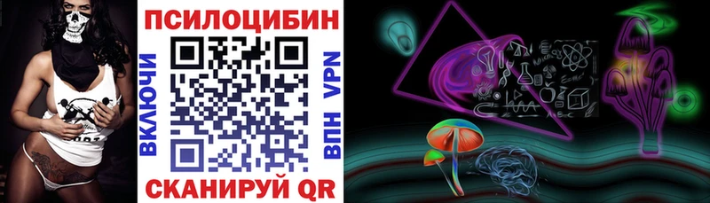 Купить где  Краснокамск  Псилоцибиновые грибы Psilocybe 